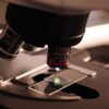 From Fossil Resources to Biomass: A Chemistry Perspective – Image 3