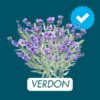 Logo du groupe Gorges du Verdon